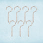 SteelGuard EyeBolt